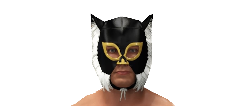 Steel puerta pour site rfdc